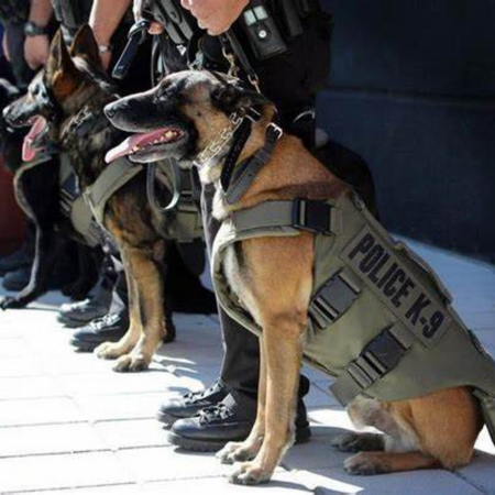 Bulletproof K9 Canine Dog Vest Tactical Gear - bulletproofequipped.com